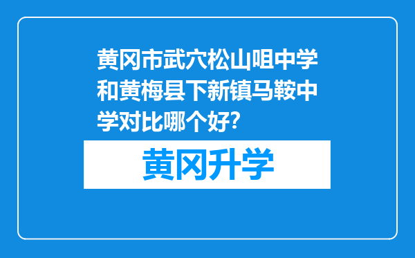 黄冈市武穴松山咀中学和黄梅县下新镇马鞍中学对比哪个好？