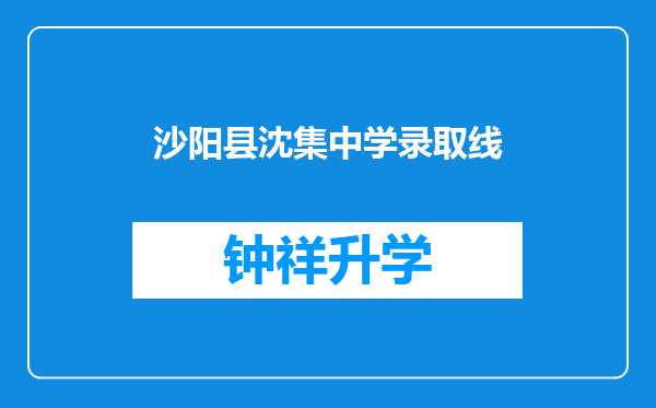 沙阳县沈集中学录取线