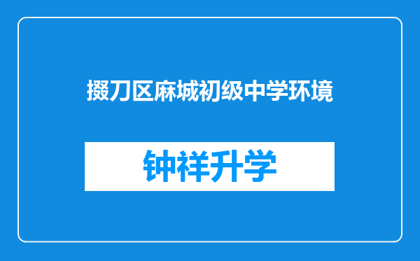 掇刀区麻城初级中学环境