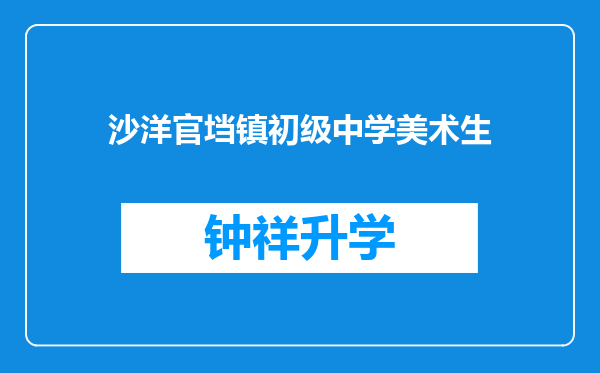 沙洋官垱镇初级中学美术生