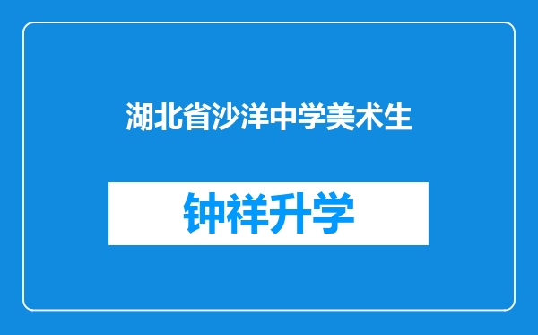 湖北省沙洋中学美术生