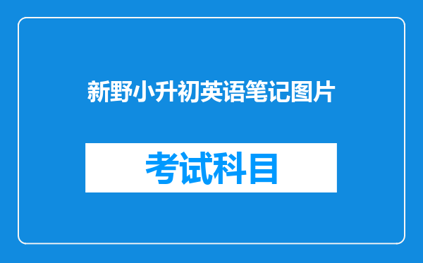 新野小升初英语笔记图片