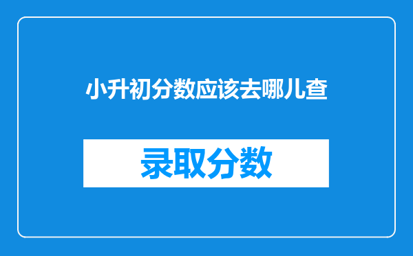 小升初分数应该去哪儿查