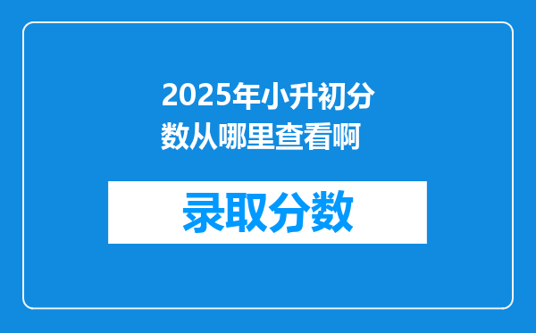 2025年小升初分数从哪里查看啊