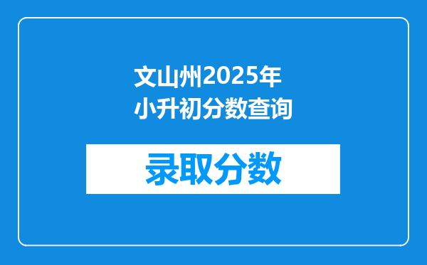 文山州2025年小升初分数查询