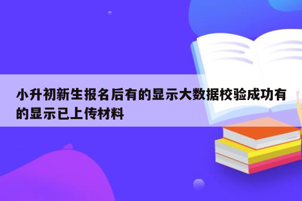 小升初新生报名后有的显示大数据校验成功有的显示已上传材料