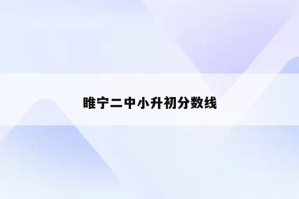 睢宁二中小升初分数线