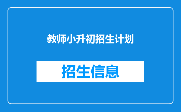 教师小升初招生计划