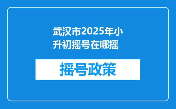 武汉市2025年小升初摇号在哪摇