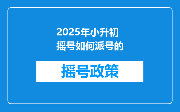 2025年小升初摇号如何派号的