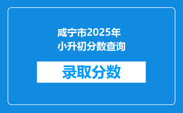 咸宁市2025年小升初分数查询