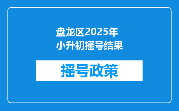 盘龙区2025年小升初摇号结果