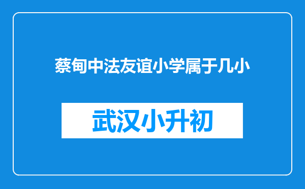 蔡甸中法友谊小学属于几小