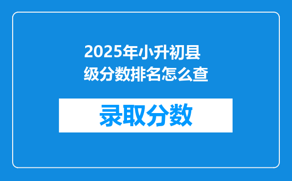 2025年小升初县级分数排名怎么查