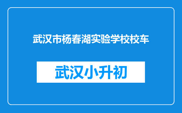 武汉市杨春湖实验学校校车