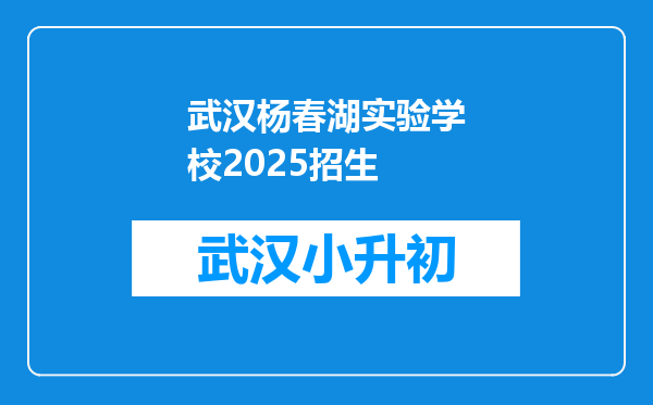 武汉杨春湖实验学校2025招生