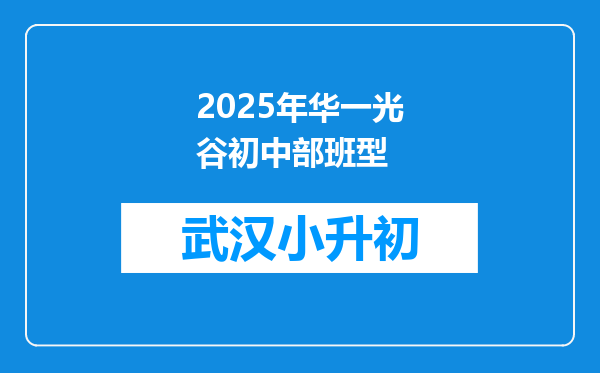 2025年华一光谷初中部班型