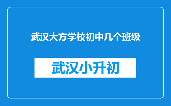 武汉大方学校初中几个班级