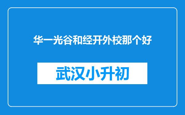 华一光谷和经开外校那个好