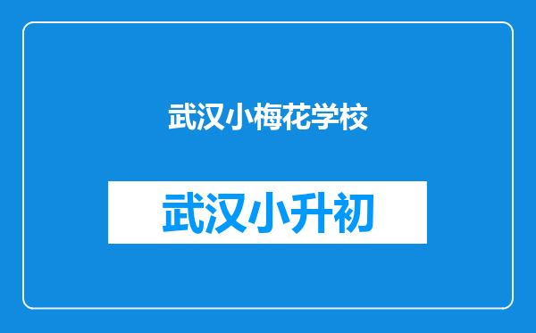 武汉小梅花学校