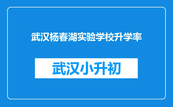 武汉杨春湖实验学校升学率