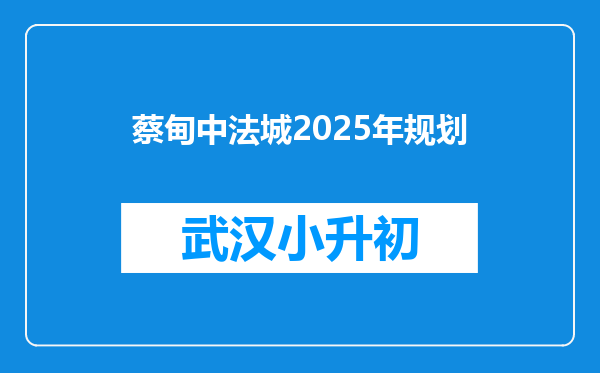 蔡甸中法城2025年规划