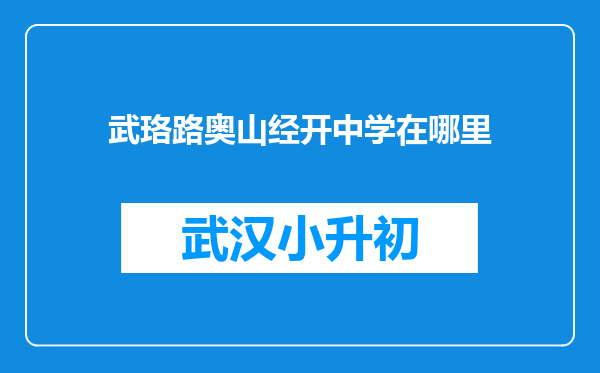 武珞路奥山经开中学在哪里