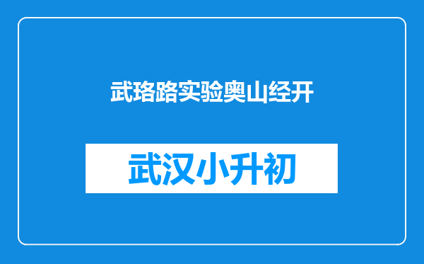 武珞路实验奥山经开