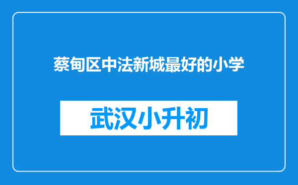 蔡甸区中法新城最好的小学