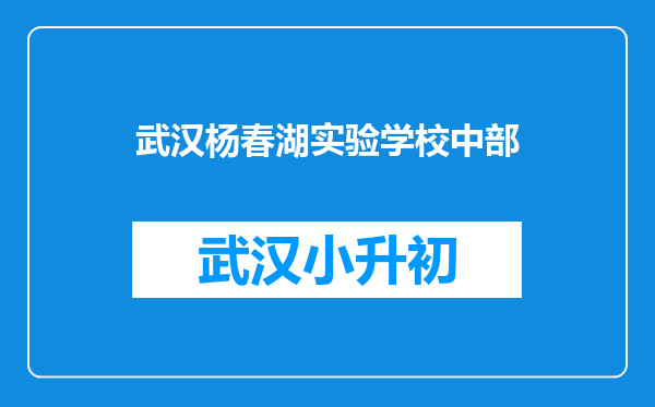 武汉杨春湖实验学校中部