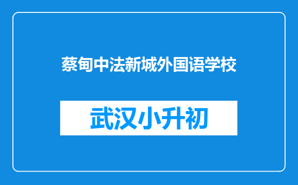 蔡甸中法新城外国语学校