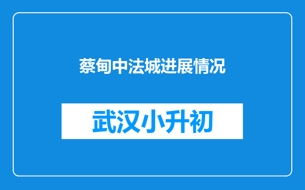 蔡甸中法城进展情况